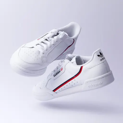 shoe